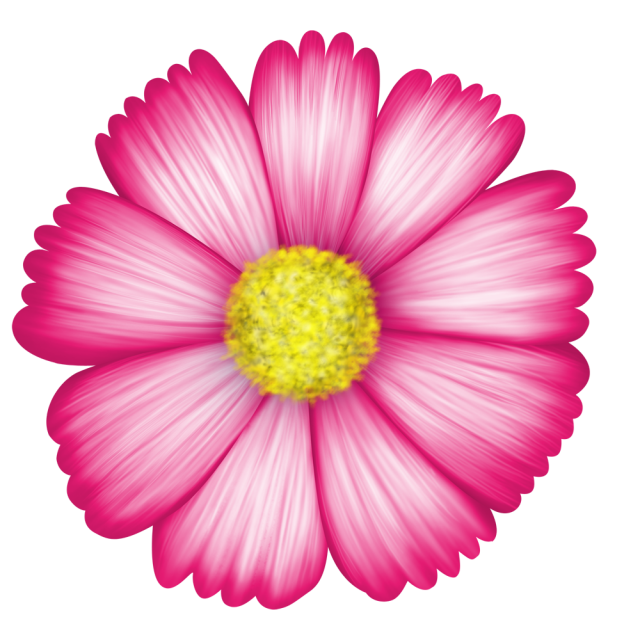 すべての美しい花の画像 最高のピンク 花 イラスト リアル