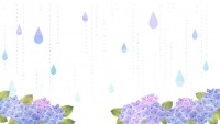 水彩の紫陽花と雨…