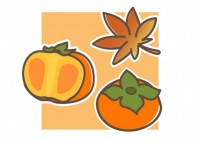 秋の味覚　柿とモ…