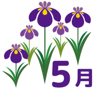 菖蒲の花の5月カ…