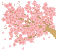 桜のワンポイント…