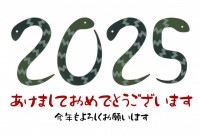 2025年　シン…