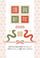 2025年 巳年…