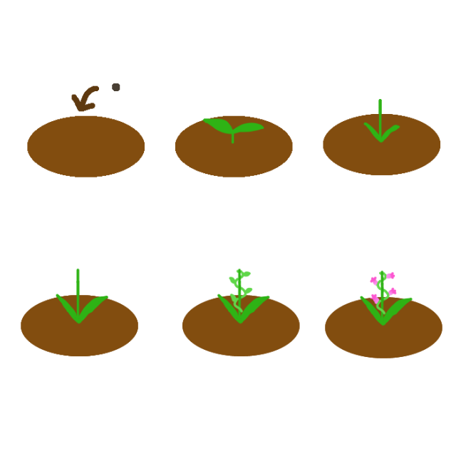 ネジバナの育て方 無料イラスト素材 素材ラボ