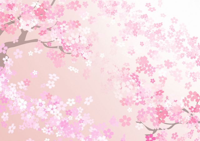 桜のイラスト 1600 X 1200 の壁紙 壁紙キングダム Pc デスクトップ版