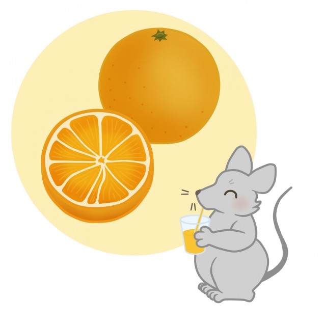 果物のイラスト オレンジ 無料イラスト素材 素材ラボ