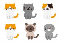 エキゾチックショートヘア かわいい無料イラスト 使える無料雛形テンプレート最新順 素材ラボ