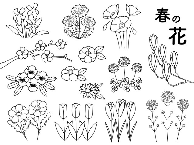 最高かつ最も包括的な和風 花 イラスト 白黒 無料の花の画像hd品質