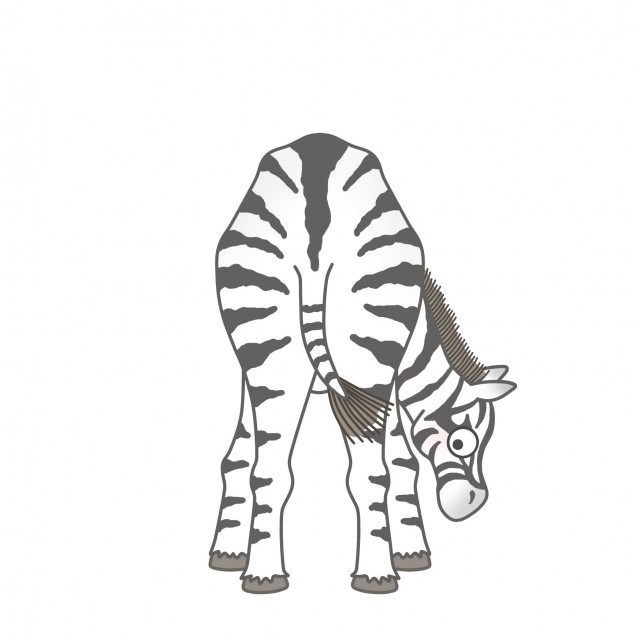サバンナの動物のイラスト シマウマ 無料イラスト素材 素材ラボ