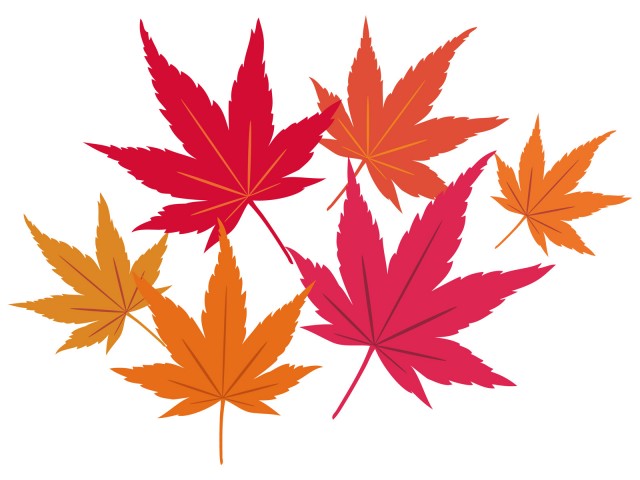 秋冬紅葉赤もみじ葉っぱシンプル装飾飾りシルエット植物アイコン無料イラストフリー素材 無料イラスト素材 素材ラボ