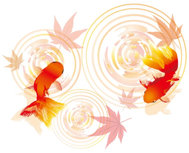 秋冬紅葉もみじ波紋水面で泳ぐ赤金魚つがい2匹挿し絵ワンポイントあしらい装飾飾り無料イラストフリー素材 無料イラスト素材 素材ラボ