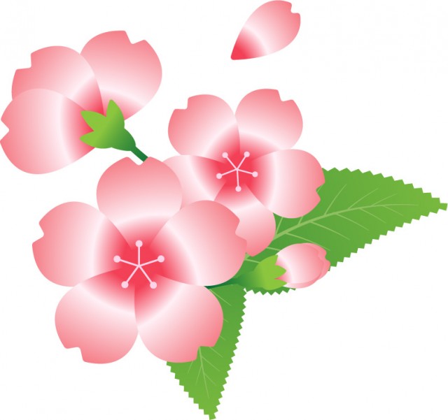 桜の花と花びら グラデーション02 無料イラスト素材 素材ラボ